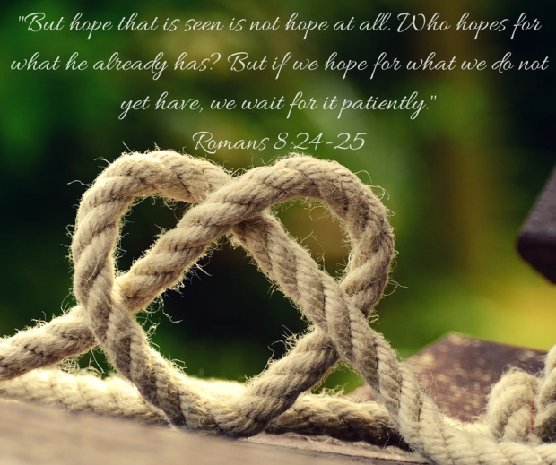 but-hope-that-is-seen-is-not-hope-at-all-who-hopes-for-what-he-already-has-but-if-we-hope-for-what-we-do-not-yet-have-we-wait-for-it-patiently-romans-8-24-25